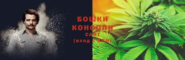 герыч Ельня