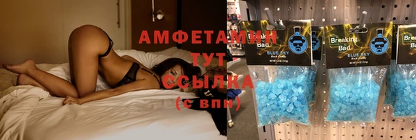 мет Елабуга