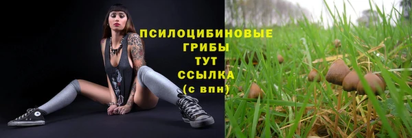 герыч Ельня