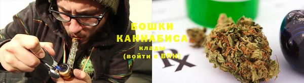 сатива Елизово