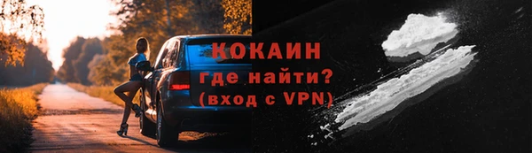 сатива Елизово