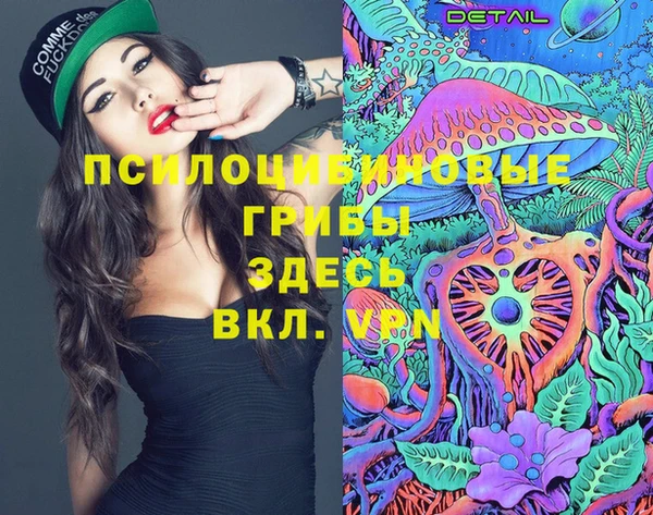 сатива Елизово