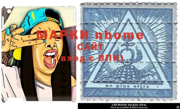 сатива Елизово