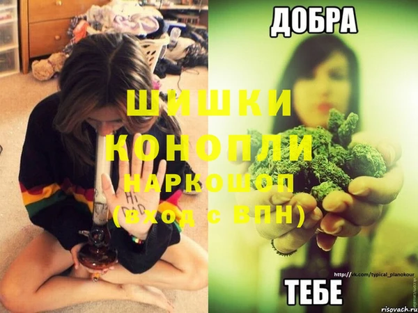 сатива Елизово