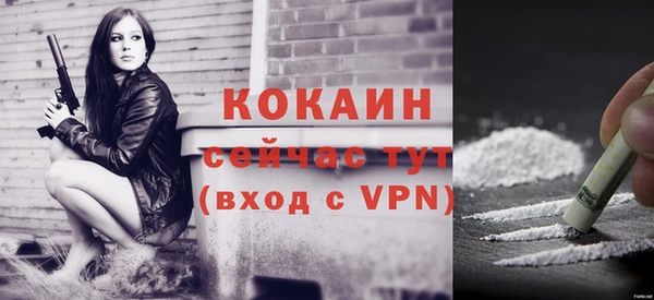 сатива Елизово