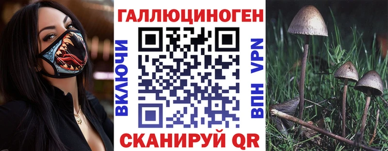 Купить где  Хадыженск  Псилоцибиновые грибы GOLDEN TEACHER 