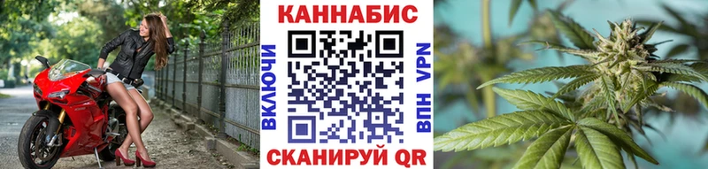 Каннабис MAZAR Хадыженск