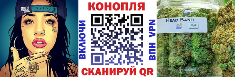 Шишки марихуана Bruce Banner  Купить  Хадыженск 